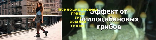 метадон Краснослободск