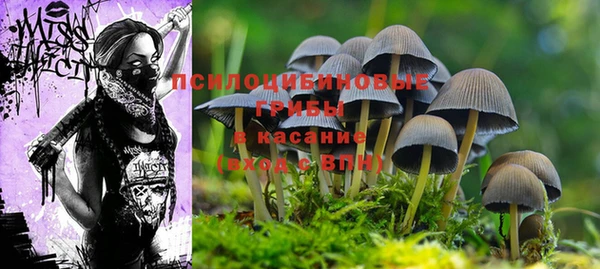 метадон Краснослободск