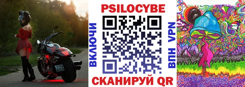 Галлюциногенные грибы Psilocybe  Нолинск 
